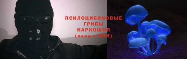 гашик Абинск