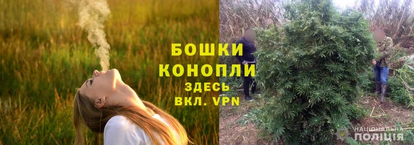 эйфоретик Семёнов