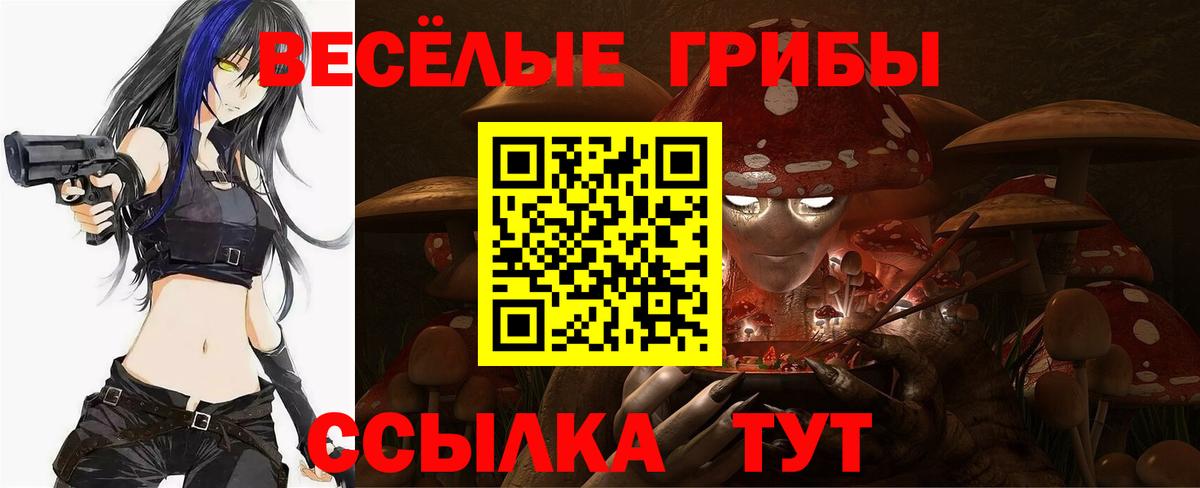 Псилоцибиновые грибы GOLDEN TEACHER  Вход с VPN  Азнакаево 