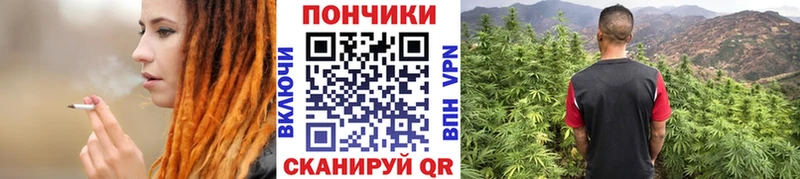Шишки марихуана марихуана Азнакаево